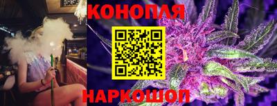 стафф Берёзовский