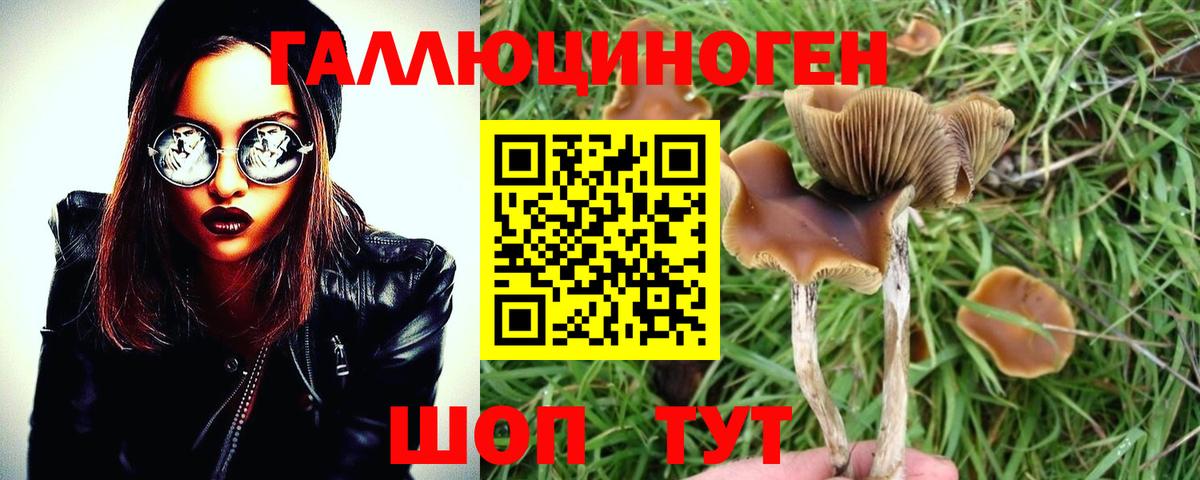 Казань  Галлюциногенные грибы ЛСД  Галлюциногенные грибы мицелий  Вход с VPN 